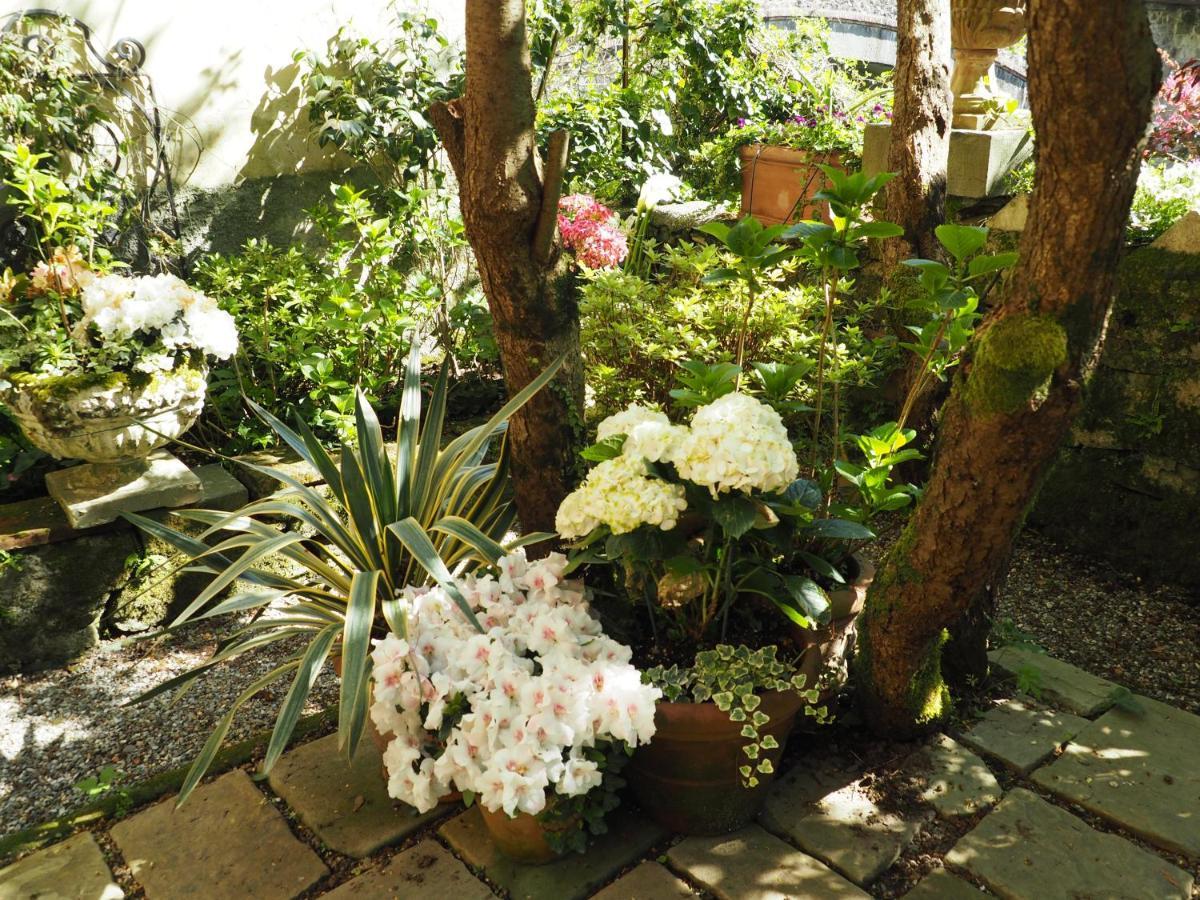 Bed and Breakfast Casa Ella Bagni di Lucca Exteriér fotografie